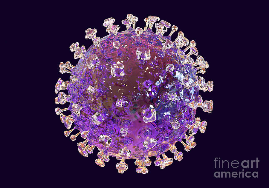 Nipah Virus Particle #2 Photograph by Kateryna Kon/science Photo Library