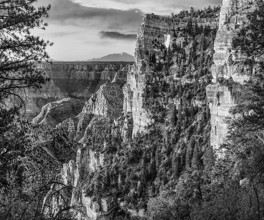 North Rim, Grand Canyon #2 Photograph by Tim Fitzharris