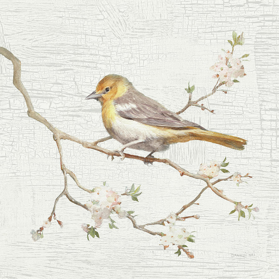 Oriole Painting - Northern Oriole Vintage #2 by Danhui Nai