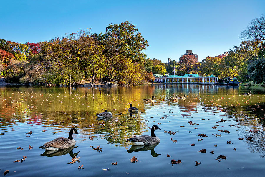 Ny, Nyc, Central Park, Lake With Loeb Boathouse In Background #2 Digital Art by Lumiere