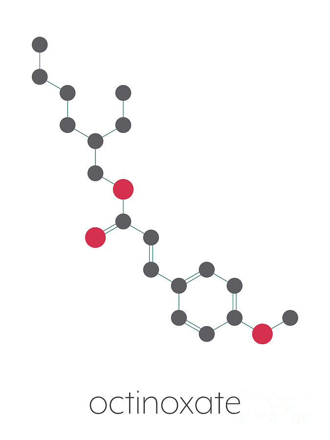 methoxycinnamate sunscreen