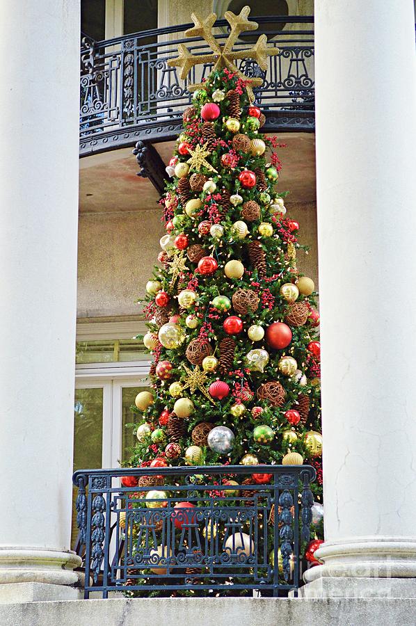 Oh Christmas Tree Photograph By Linda Covino