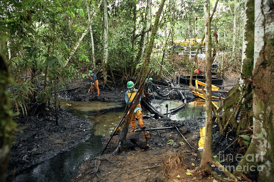 Oil Spill Damage Control In A Rainforest #2 Photograph by Dr Morley Read/science Photo Library