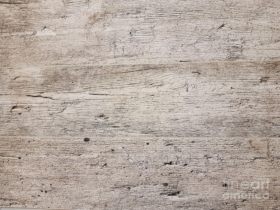 Old Vintage Wood Texture Background Photograph By Wdnet Studio