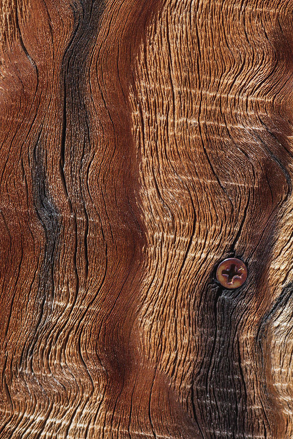 Old Wood Design, California Photograph by Zandria Muench Beraldo - Fine ...
