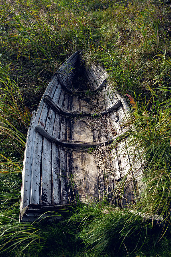 Old Wooden Rowing Boat Lying In The Bushes Photograph By Elena Saulich 5613