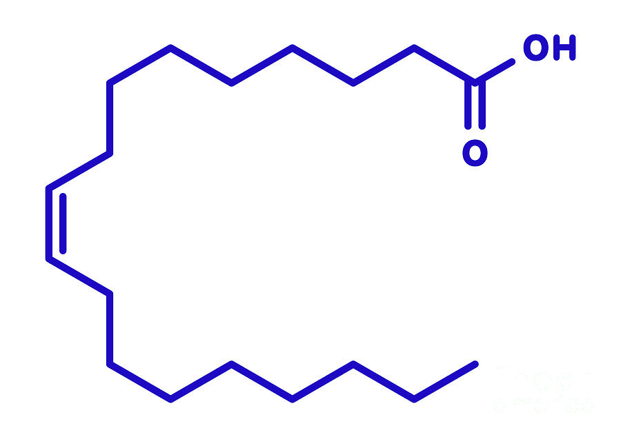 Gering ik ben slaperig academisch Oleic Acid Omega-9 Fatty Acid Molecule Photograph by Molekuul/science Photo  Library