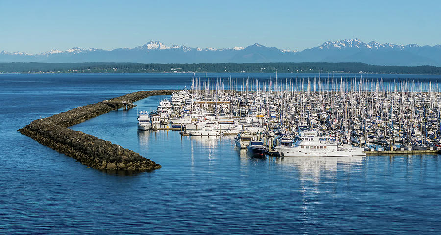 Olympic Mountains And Boat Marina In Puget Sound Washington Stat #2 Photograph by Alex Grichenko