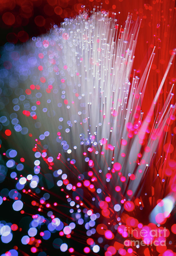 Optical Fibres #2 Photograph by Colin Cuthbert/science Photo Library
