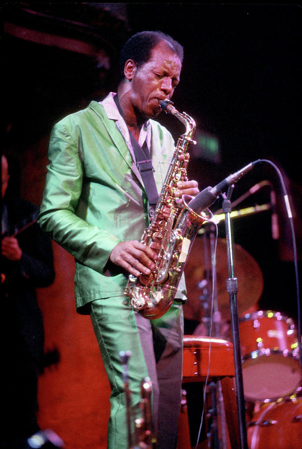 Ornette Coleman Performing #2 Photograph by Tom Copi