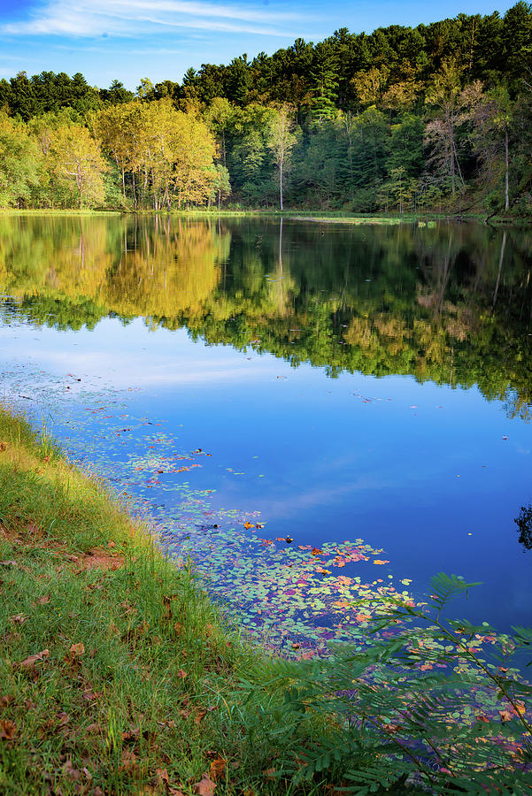Otter Lake, Blue Ridge Parkway Photograph by Anna Miller Fine Art America