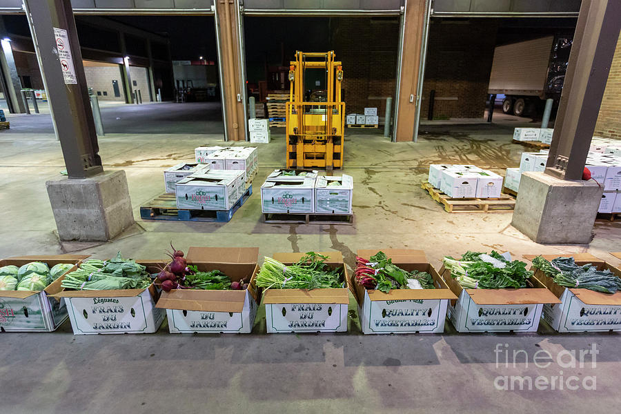 Overnight Wholesale Produce Market #2 Photograph by Jim West/science Photo Library