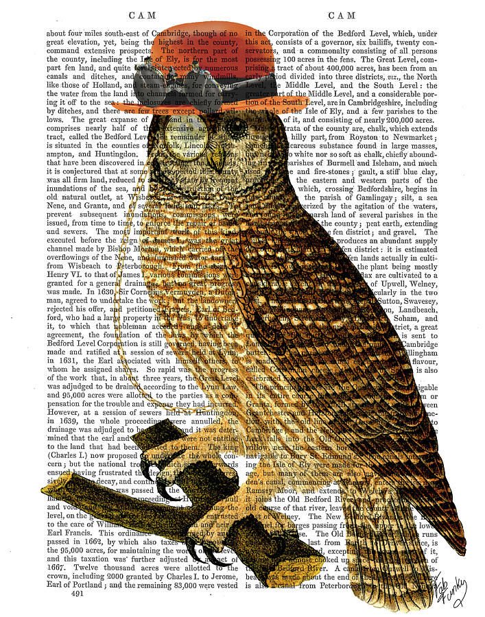 Animal Painting - Owl With Steampunk Style Bowler Hat #2 by Fab Funky