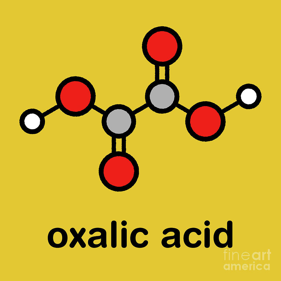 Ring Photograph - Oxalic Acid Molecule #2 by Molekuul/science Photo Library