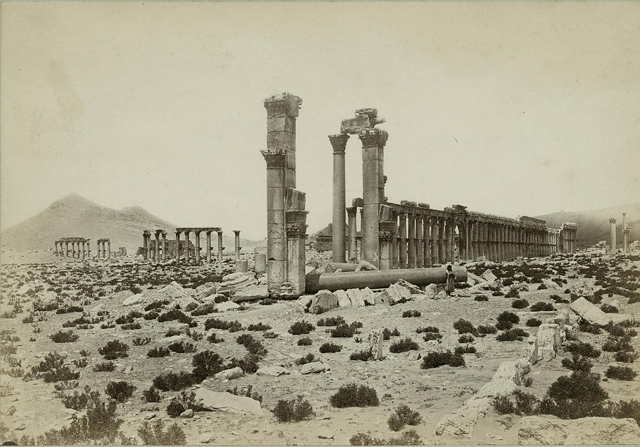 Palmyra #2 Photograph by Spencer Arnold Collection