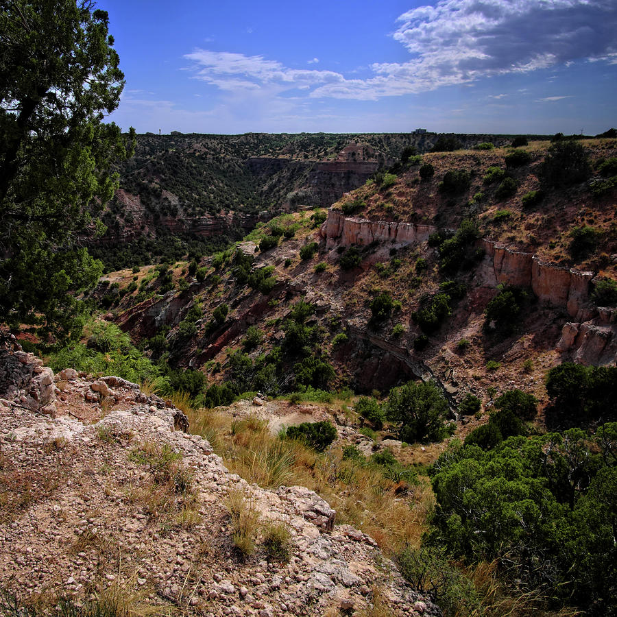 Palo Duro Canyon #2 Photograph by George Taylor