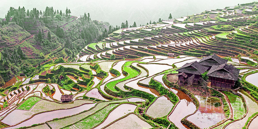 Panorama Village and Terraced Rice Field Photograph by PuiYuen Ng - Pixels
