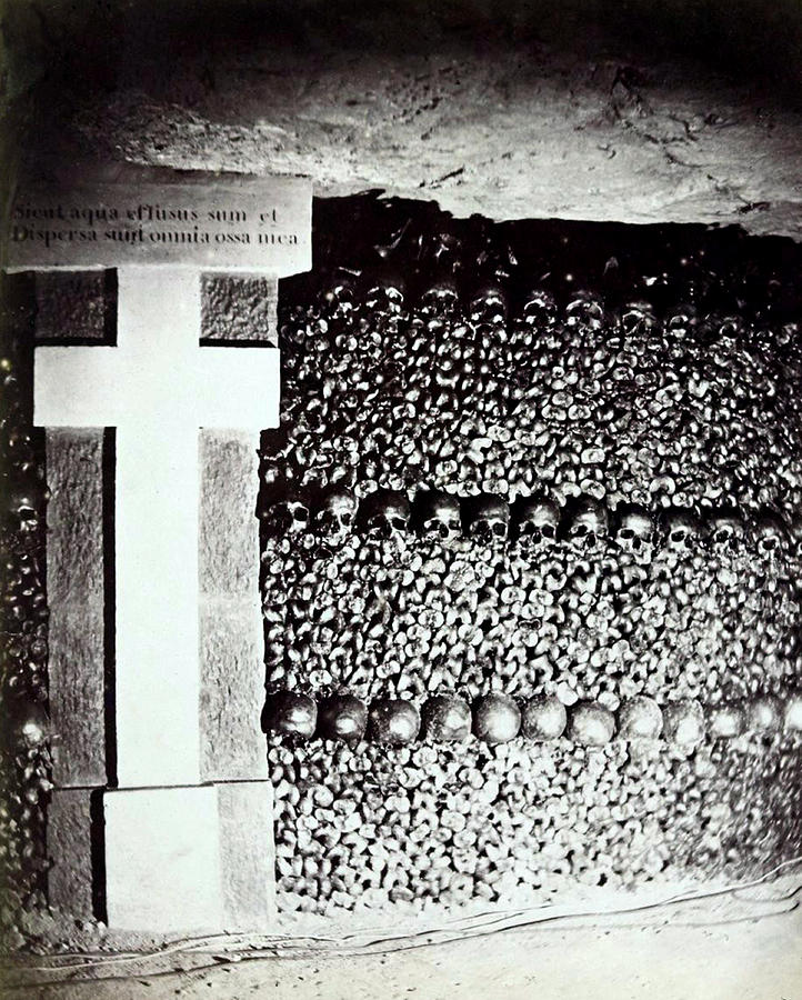 Paris Catacombs, 1861 #2 Photograph by Science Source