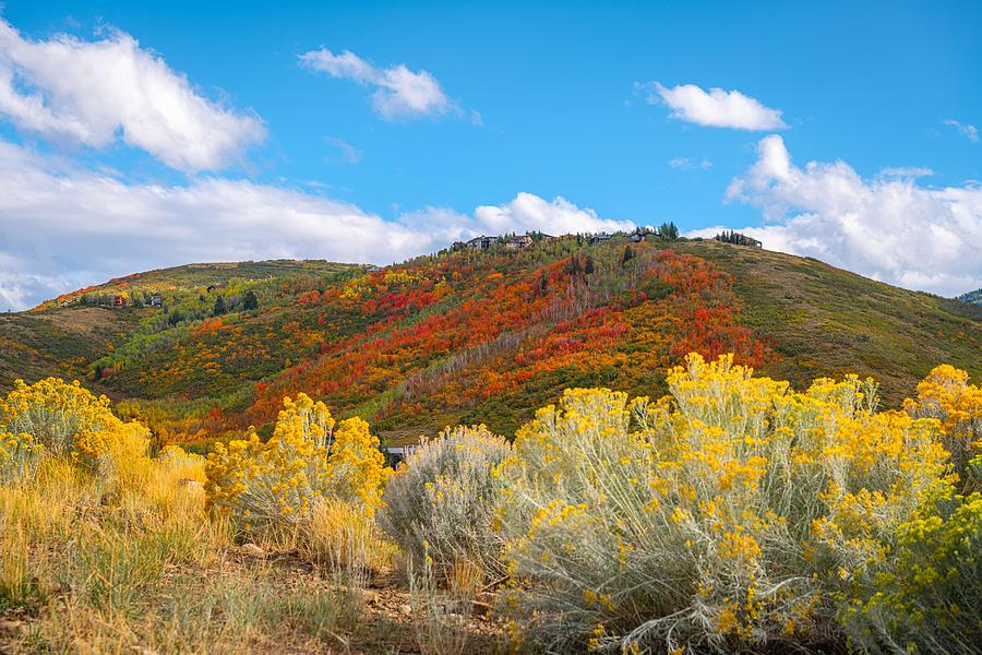 Fall Photograph - Park City, Utah, Usa Foliage #2 by Sean Pavone