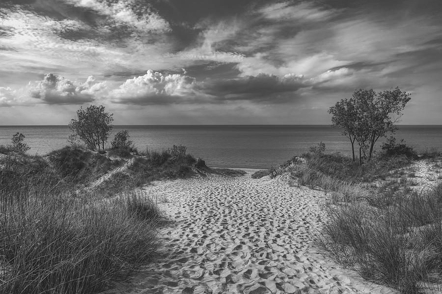 Lake Michigan Photograph - Path In The Sand Dunes To Lake Michigan #2 by Mountain Dreams