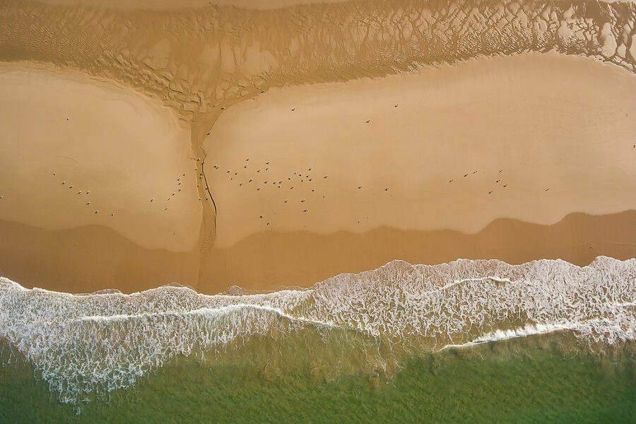 Patterns Of Sand At Low Tide, Fonte Da Telha Beach #2 Photograph by Luis Quinta / Naturepl.com Patterns Of Sand At Low Tide, Fonte Da Telha Beach #2 Photograph by Luis Quinta / Naturepl.com