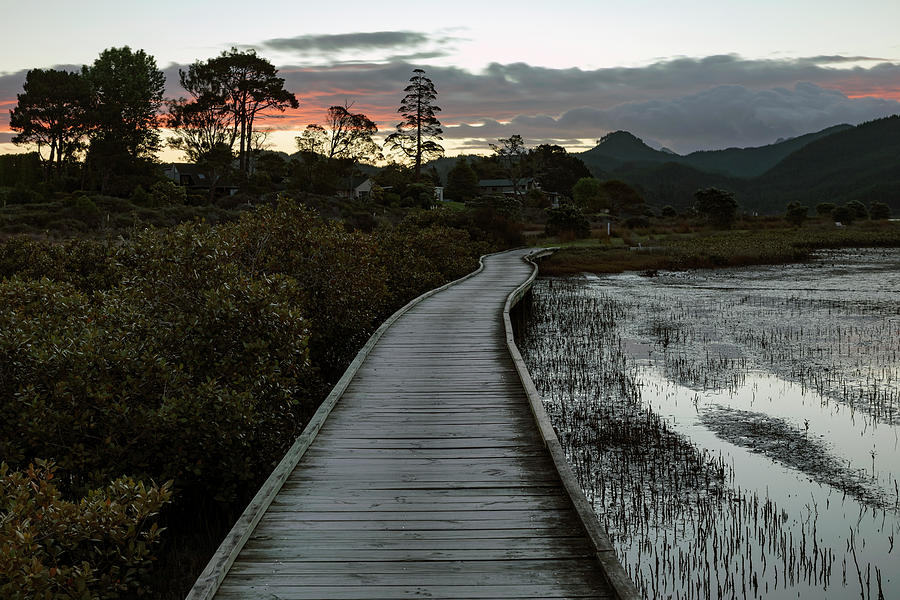 Pauanui - New Zealand #2 Photograph by Joana Kruse