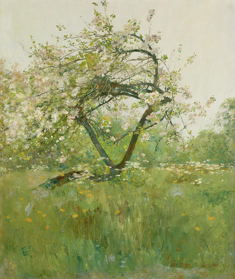 Childe Hassam Painting - Peach Blossoms, Villiers-le-Bel #2 by Childe Hassam