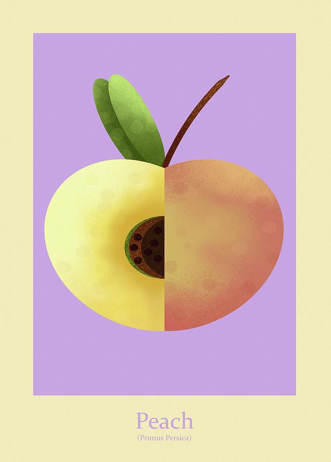Still Life Painting - Peach #2 by Joe Gilronan