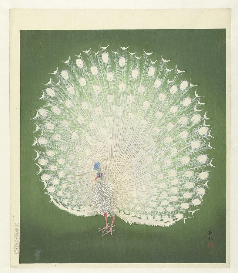 Peacock, Ohara Koson, 1925 - 1936 Painting by Ohara Koson