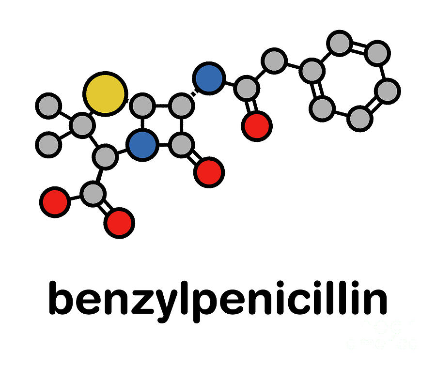 Pen Photograph - Penicillin G Antibiotic Drug Molecule #2 by Molekuul/science Photo Library
