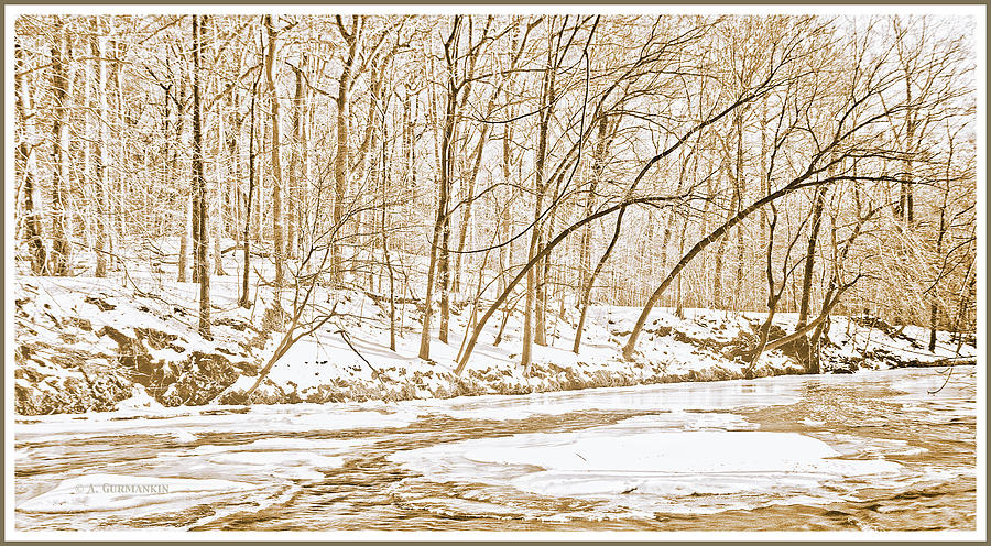 Pennsylvania Winter, Icy Stream #2 Photograph by A Macarthur Gurmankin