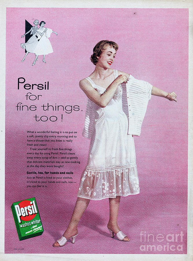 Persil #2 Photograph by Picture Post