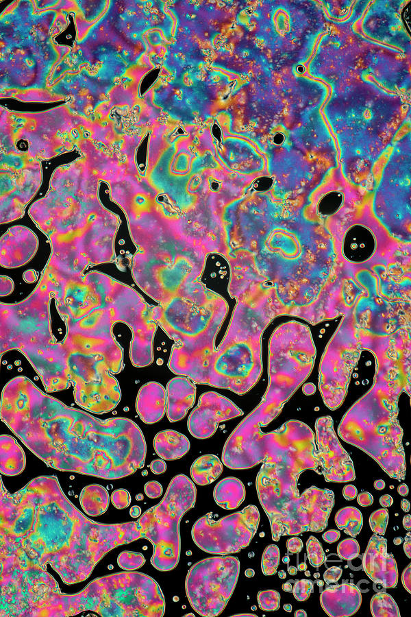 Phase Transition In Liquid Crystal #2 Photograph by Karl Gaff / Science Photo Library