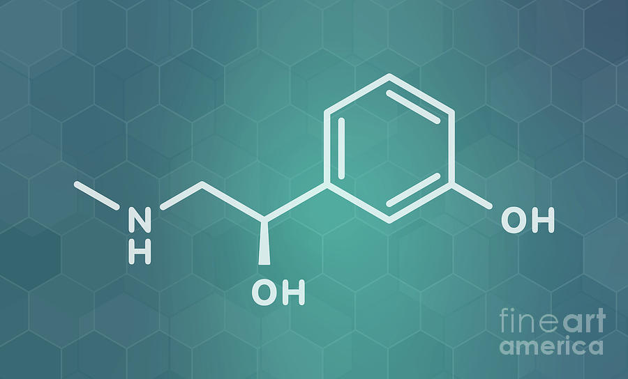 Phenylephrine Nasal Decongestant Drug Molecule #2 by Science Photo Library