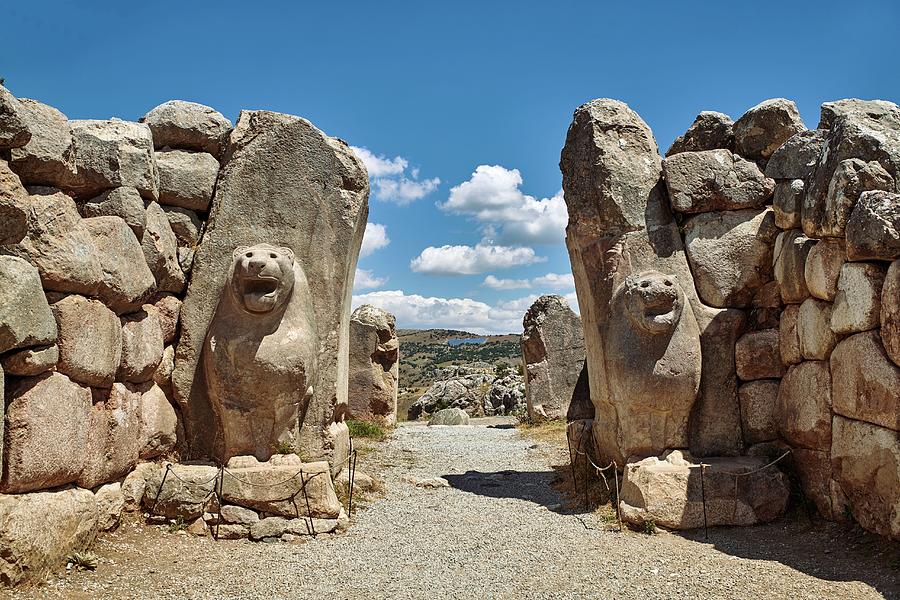 Picture & Image Of The Hittite Lion Photograph by Funkystock - Fine Art ...