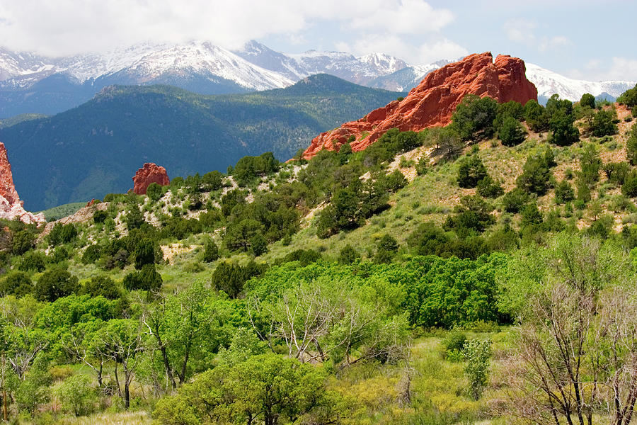 Pikes Peak And Garden Of The Gods #2 Photograph by Swkrullimaging