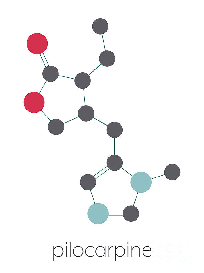 Pilocarpine Drug Molecule Photograph By Molekuulscience Photo Library Fine Art America