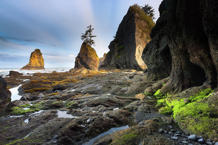 Point Of Arches, Olympic Np, Wa #2 Digital Art by Roland Gerth