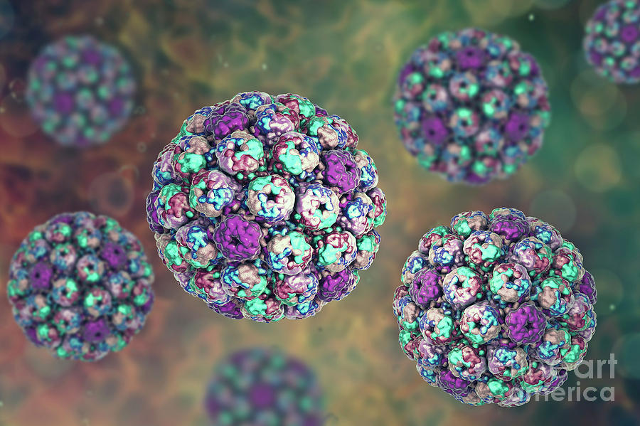 Polyoma Bk Virus Photograph by Kateryna Kon/science Photo Library - Pixels
