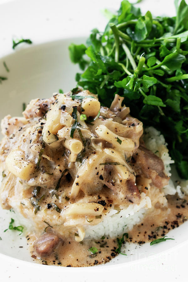 Pork Stroganoff with mushroom cream and paprika sauce gourmet me #2 Photograph by JM Travel Photography