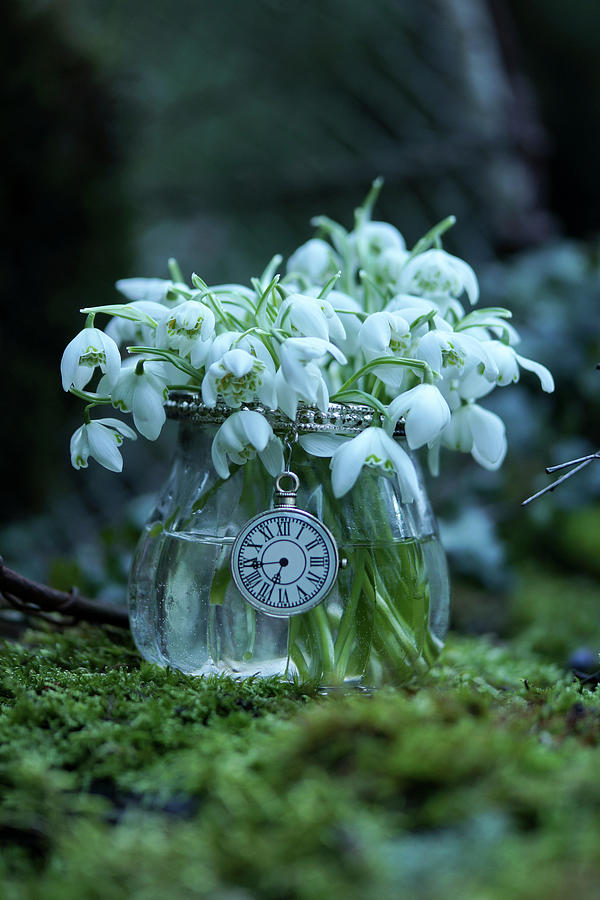 Posy Of Snowdrops In Vintage-style Glass Vase On Moss #2 Photograph by Angelica Linnhoff