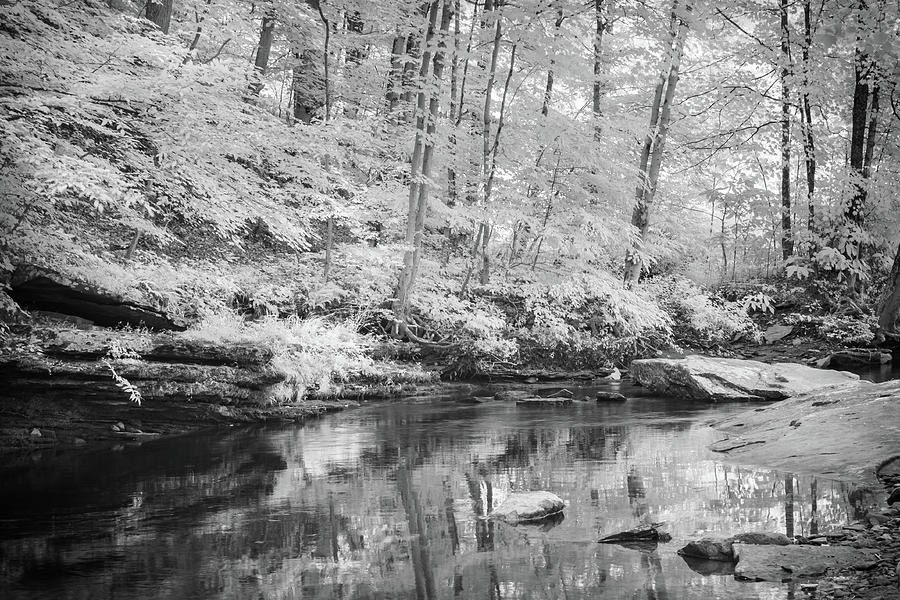 Prickett Creek IR Photograph by Steve Konya II - Fine Art America