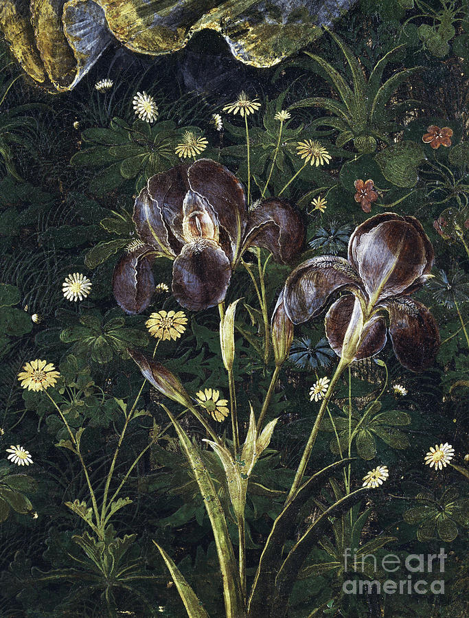 Spring Painting - Primavera, C.1478 by Sandro Botticelli