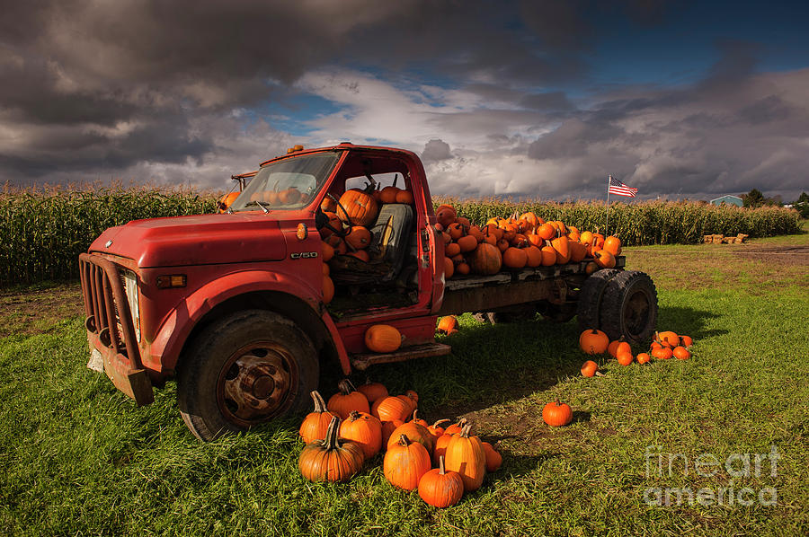 Pumpkin Patch With Old Flat Bed Truck  #2 Photograph by Jim Corwin