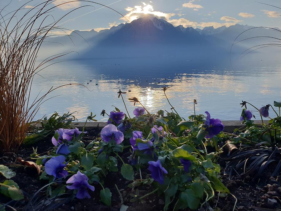 Purple Hue of Lake Geneva  Photograph by Andrea Whitaker