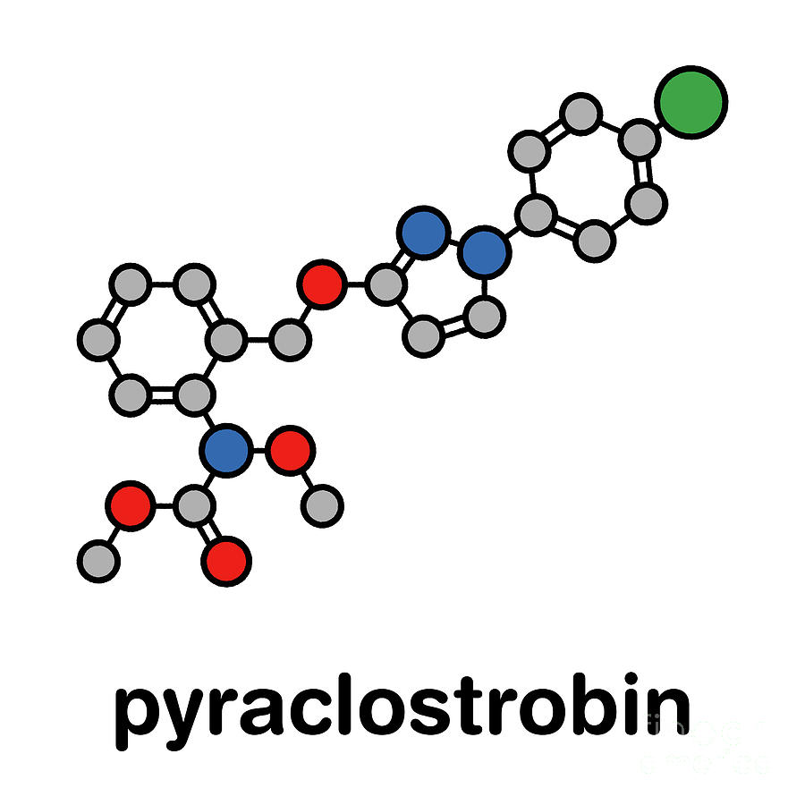 Ring Photograph - Pyraclostrobin Fungicide Molecule #2 by Molekuul/science Photo Library