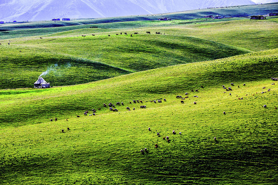 Qiongkushitai Grassland, Yili, Xinjiang #2 Photograph by Feng Wei Photography