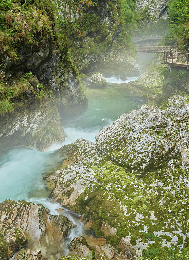Radovna River, Vintgar Gorge, Slovenia, Europe #2 Photograph by Rainer Mirau