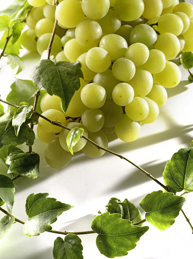 Fruit Photograph - Raisin Blanc White Grapes #2 by Studio - Photocuisine
