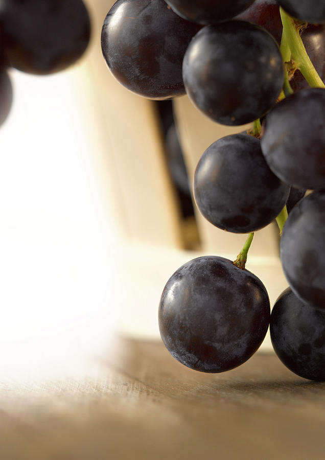 Fruit Photograph - Raisin Noir Black Grapes #2 by Studio - Photocuisine